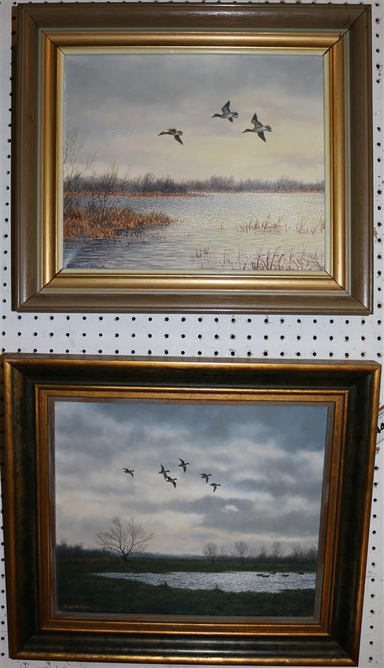 Geoffrey Campbell-Black Ducks in flight, 10 x 12in.